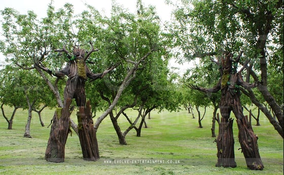 Enchanted-4