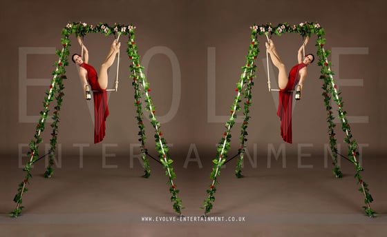Enchanted-Aerial-Rig-2