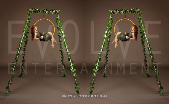 Enchanted-Aerial-Rig-4