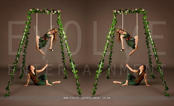 Enchanted-Aerial-Rig-5