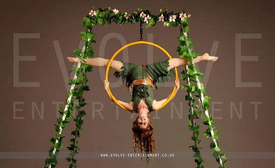 Enchanted-Aerial-Rig-6
