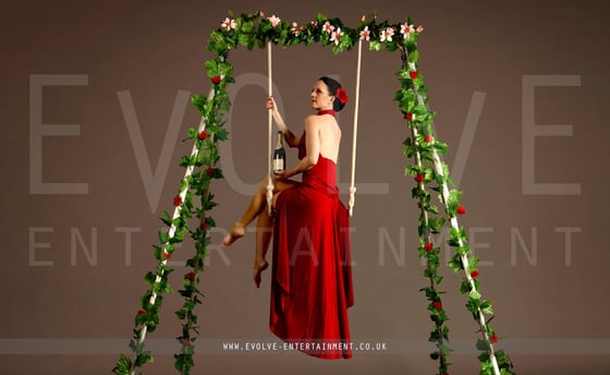 Enchanted-Aerial-Rig-8