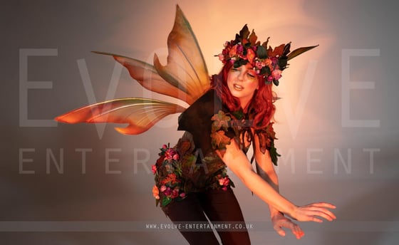 Enchanted-Ballerina-Fairies-1-1