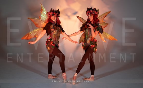 Enchanted-Ballerina-Fairies-2-1