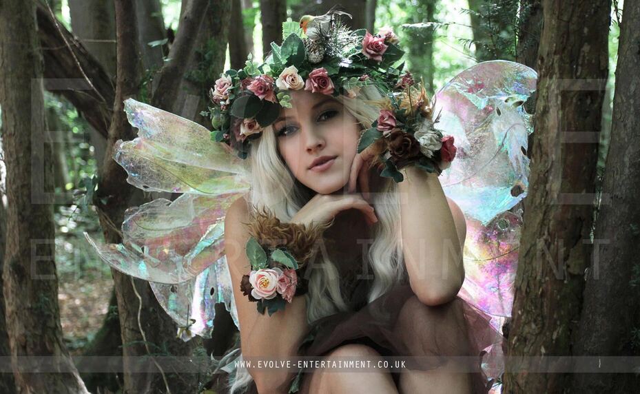 fairies