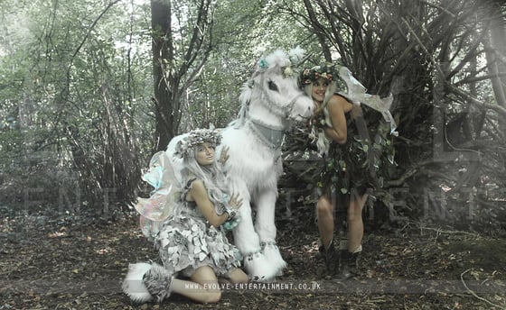 Fairies-3