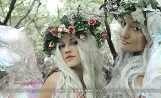 Fairies-4