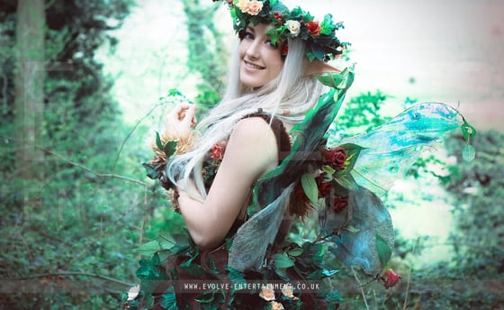 Fairies-5