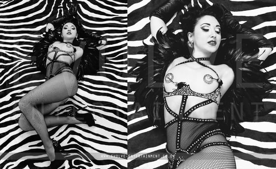 Feather-Noir-2