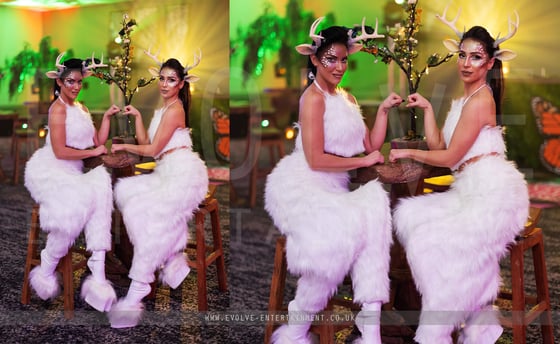 Female Fauns - 5-1