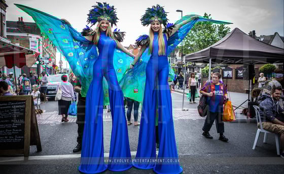 Festival-Stilts-Peacock