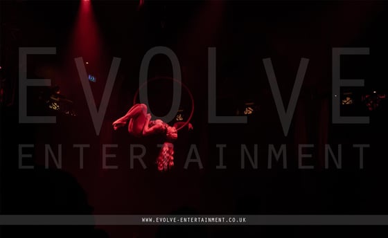 Flexible-Aerial-Hoop-6