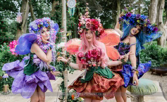 Flower Fairies 1