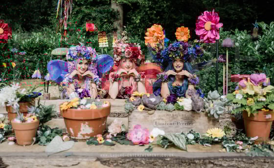 Flower Fairies 2
