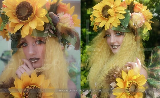 Flower Fairies 5