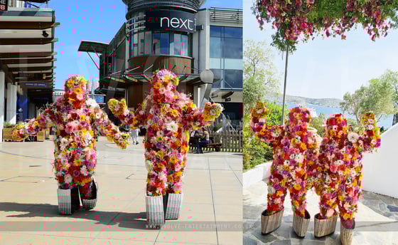 Flower-Bushes-3