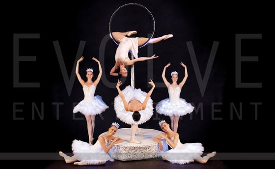 Freestanding LED Aerial Ballerina