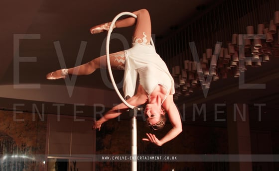 Freestanding-Aerial-Rig-1