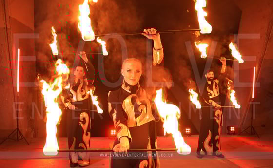 From the Flames Fire Show 2