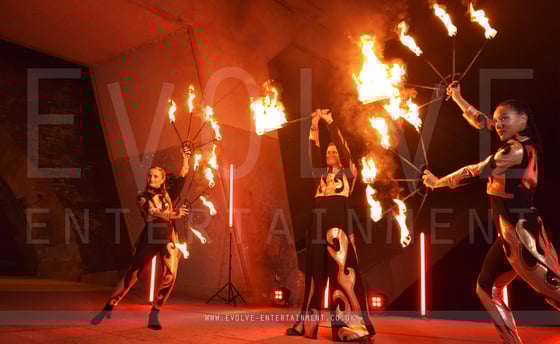 From the Flames Fire Show 3