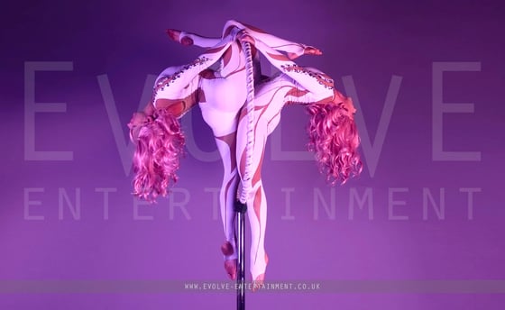 Future Femme Aerial 2