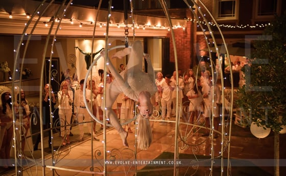 Giant-Bird-Cage-4