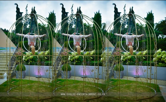 Giant-Bird-Cage-8