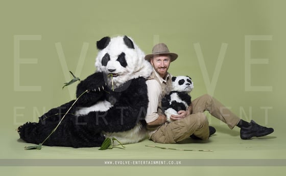 Giant-Panda-1