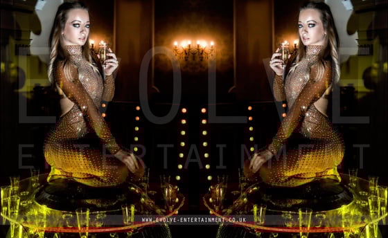 Glitz And Glam Theme 17