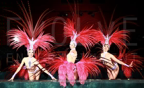 Glitz And Glam Theme 5