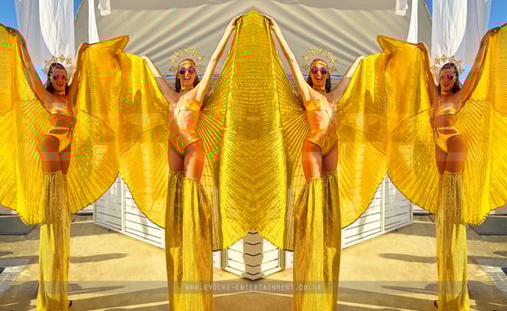 Gold with Wings