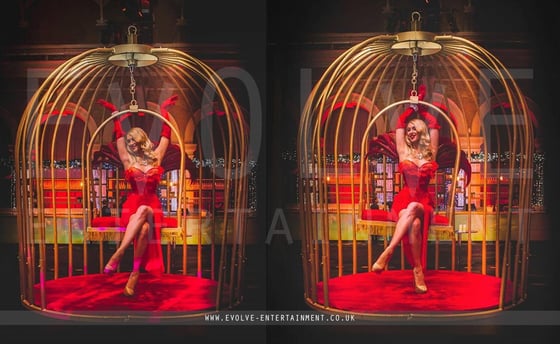 Gold-Bird-Cage-Prop-3