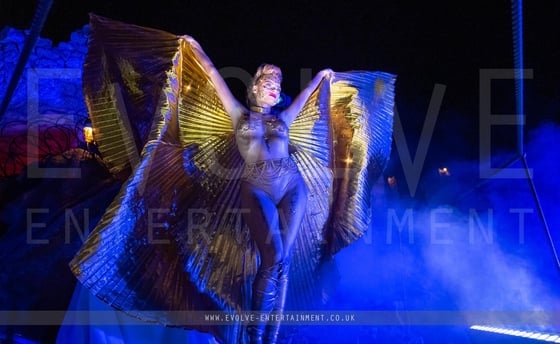 Gold-Body-Paint-Model-5