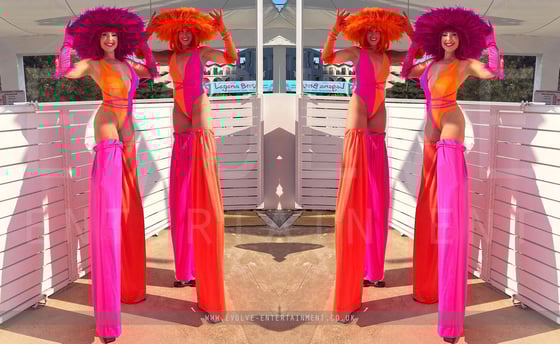 Half pink Half orange-1