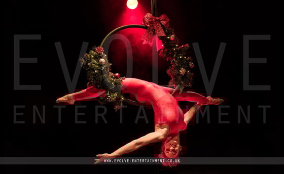 Holly-Wreath-Aerial-Hoop-1