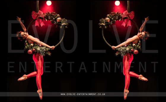 Holly-Wreath-Aerial-Hoop-2