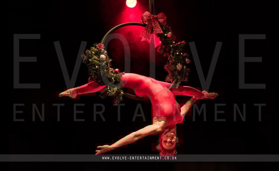 Holly-Wreath-Aerial-Hoop-3