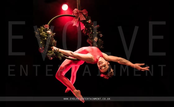 Holly-Wreath-Aerial-Hoop-4