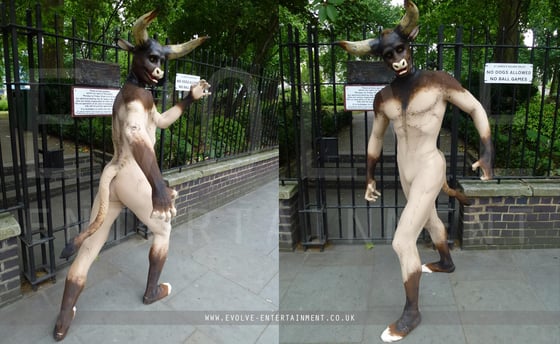 Human-Animal-Bull