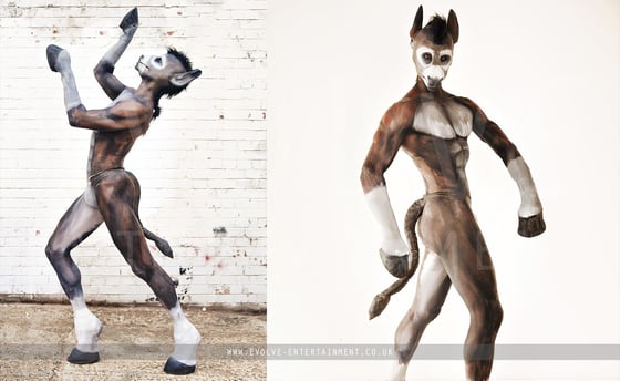 Human-Animal-Donkey