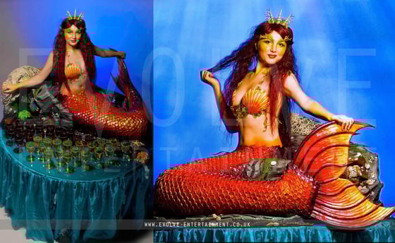 Human-Table18-mermaid