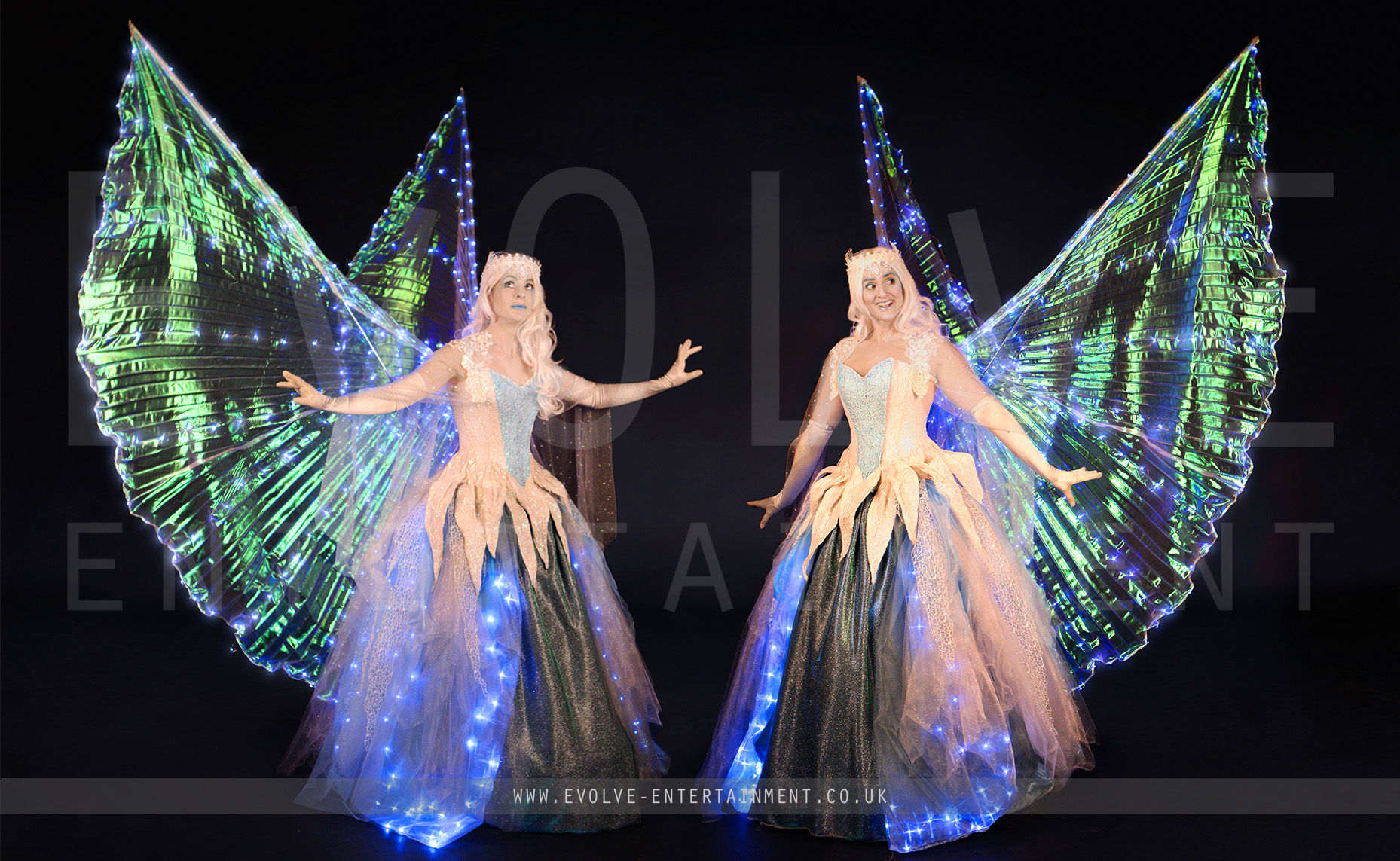 Ice Fairies 3