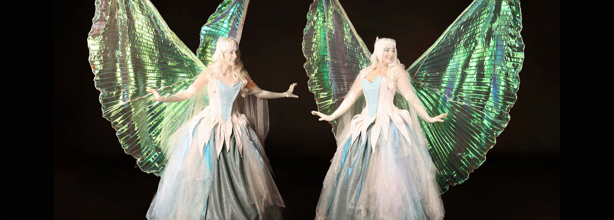Ice Fairies Hero