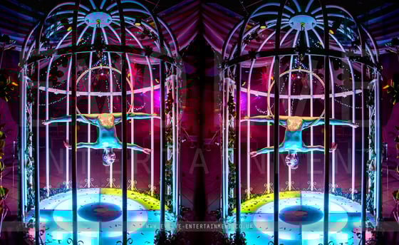 LED Birdcage - 3 