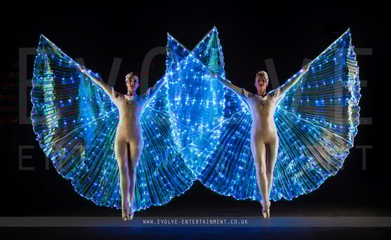 LED Winged Ballerinas 1-1