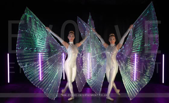 LED Winged Ballerinas 1