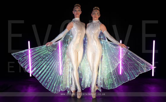 LED Winged Ballerinas 2