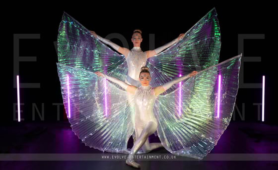 LED Winged Ballerinas 3