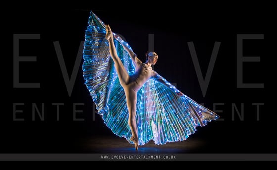 LED Winged Ballerinas 4