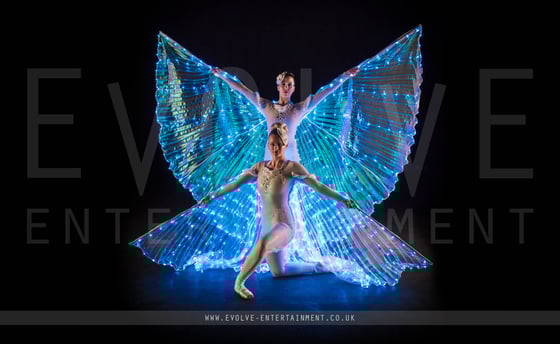 LED Winged Ballerinas 5